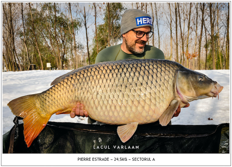 Pierre Estrade - 24,5kg, Sectorul A.jpg