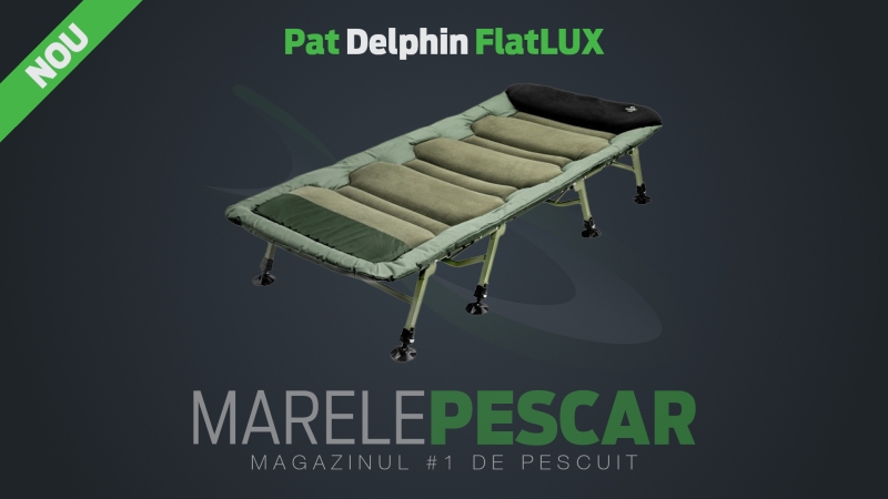 Pat-Delphin-FlatLUX.jpg