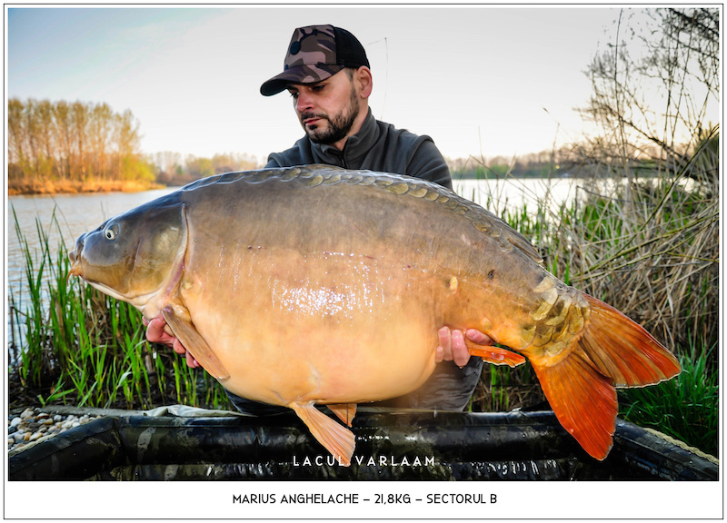 Marius Anghelache - 21,8kg, Sectorul B.jpg