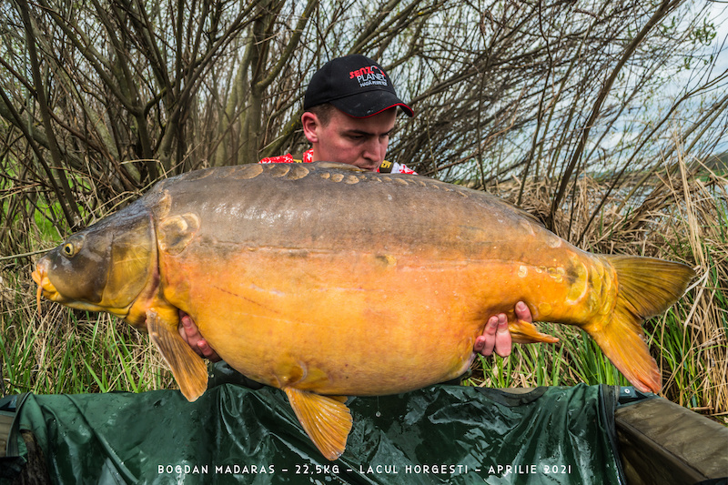 Bogdan Madaras - 22,5kg.jpg