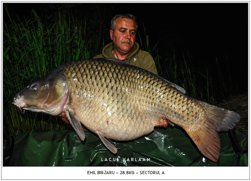 Emil Birjaru - 28,8kg, Sectorul A.jpg