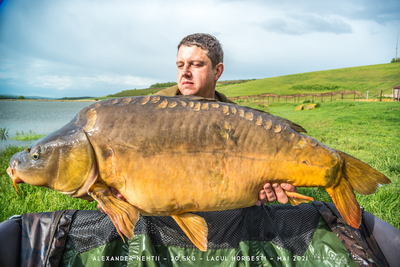 Alexander Nehtii - 20,5kg.jpg