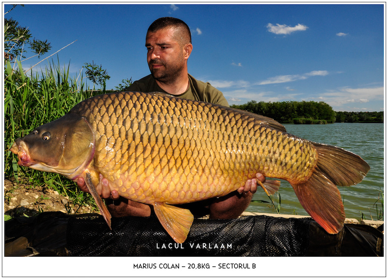 Marius Colan - 20,8kg, Sectorul B.jpg