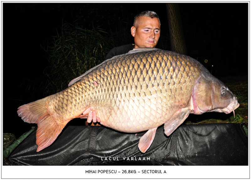 Mihai Popescu - 26,8kg, Sectorul A.jpg