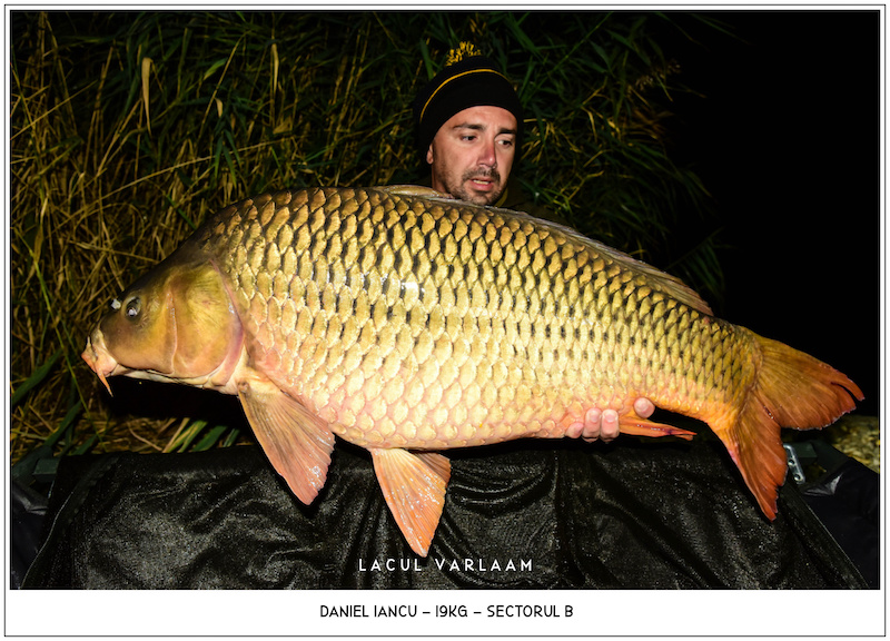 Daniel Iancu - 19kg, Sectorul B.jpg