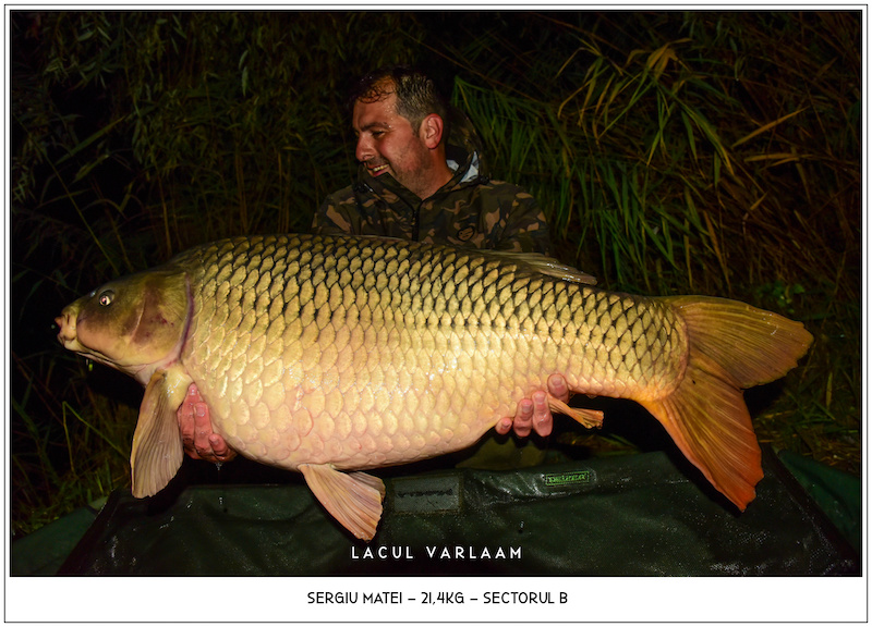 Sergiu Matei - 21,4kg, Sectorul B.jpg