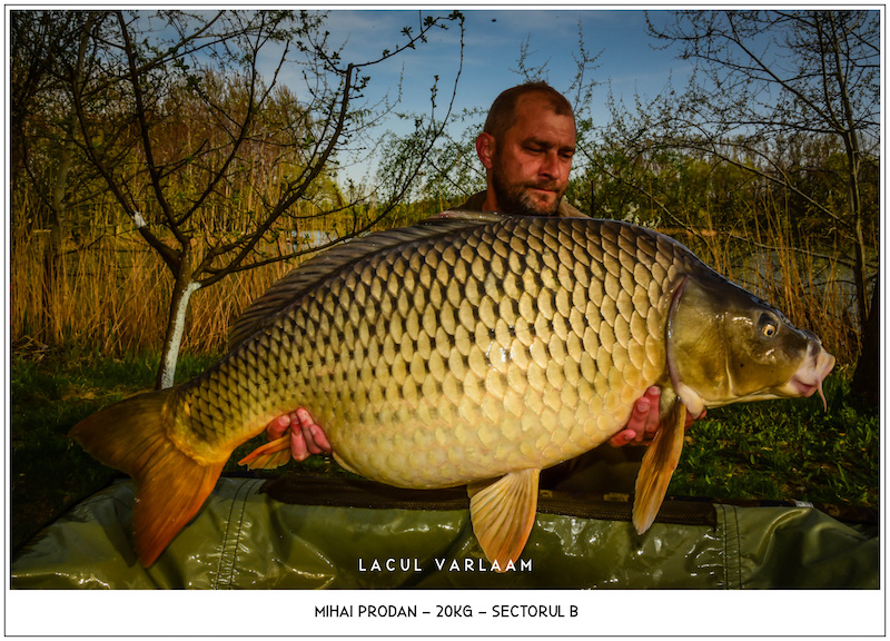 Mihai Prodan - 20kg, Sectorul B.jpg