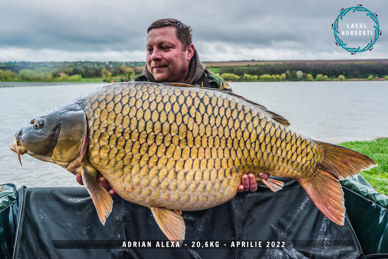 Adrian Alexa - 20,6kg.jpg