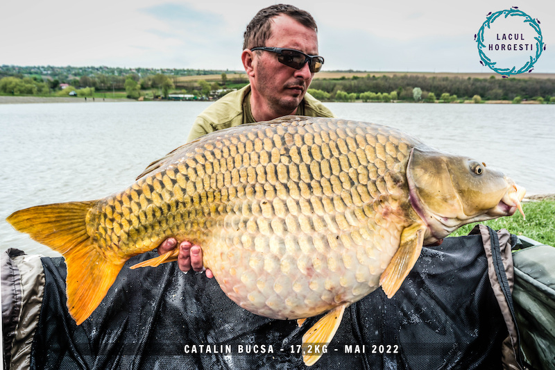 Catalin Bucsa - 17,2kg.jpg