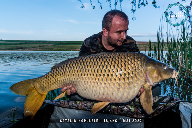 Catalin Hopulele - 18,4kg.jpg