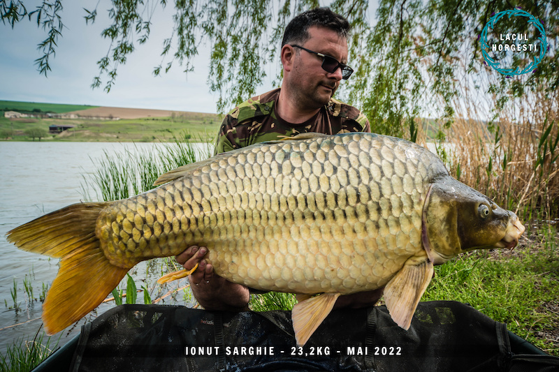 Ionut Sarghie - 23,2kg.jpg