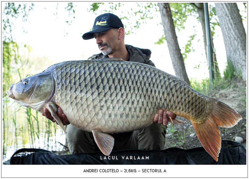 Andrei Colotelo - 21,6kg, Sectorul A.jpg