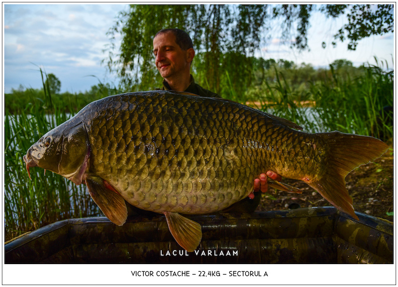 Victor Costache - 22,4kg, Sectorul A.jpg