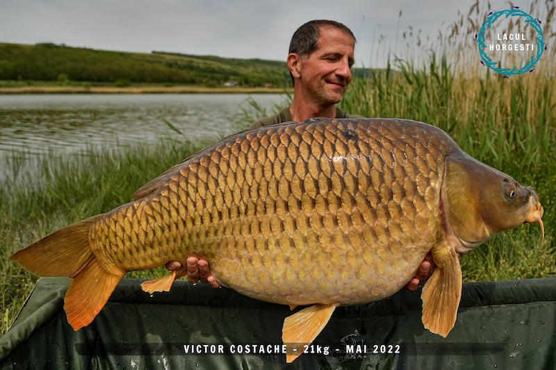 Victor Costache - 21kg.jpg