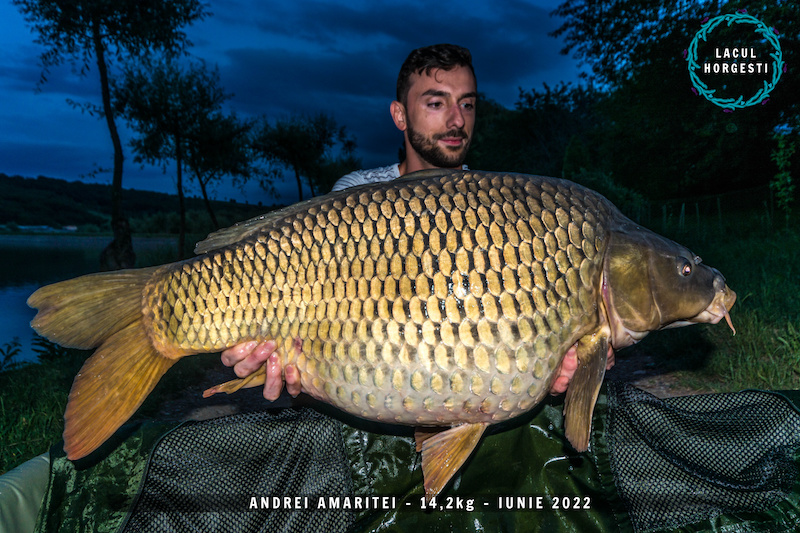 Andrei Amaritei - 14,2kg.jpg