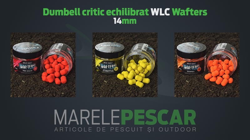 Dumbell-critic-echilibrat-WLC-Wafters.jpg