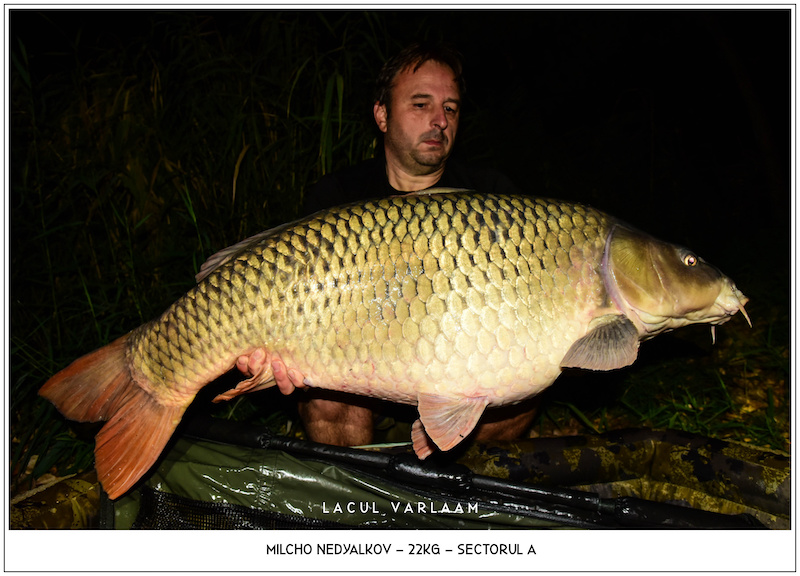 Milcho Nedyalkov - 22kg, Sectorul A.jpg