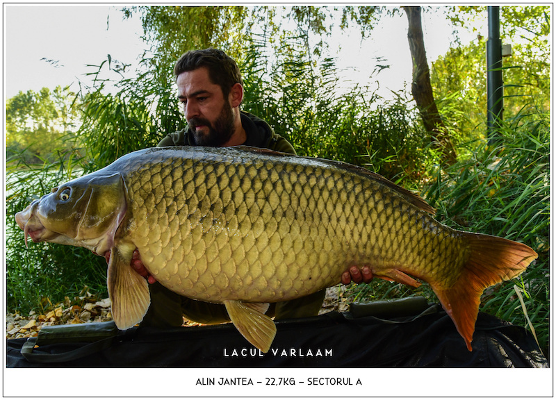 Alin Jantea - 22,7kg, Sectorul A.jpg