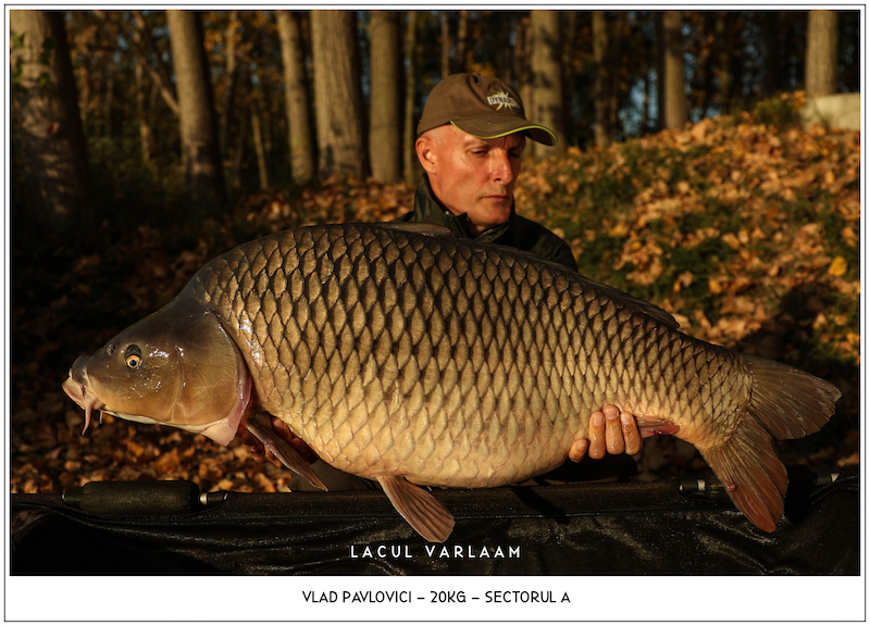 Vlad Pavlovici - 20kg, Sectorul A.jpg