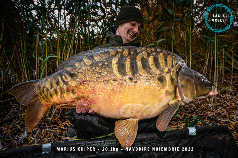 4. Marius Chiper- 20,1kg - navodire 2022.jpg.jpg