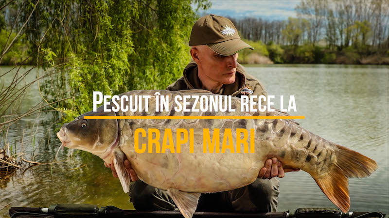 Pescuit in sezonul rece la crapi mari.jpg