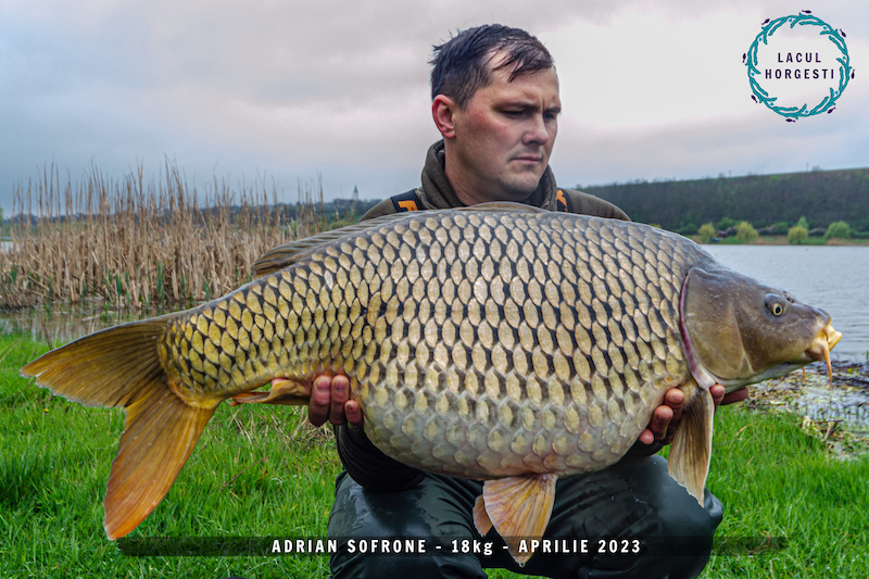 Adrian Sofrone - 18kg.jpg