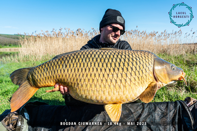 Bogdan Ciumarnea - 18,4kg.jpg