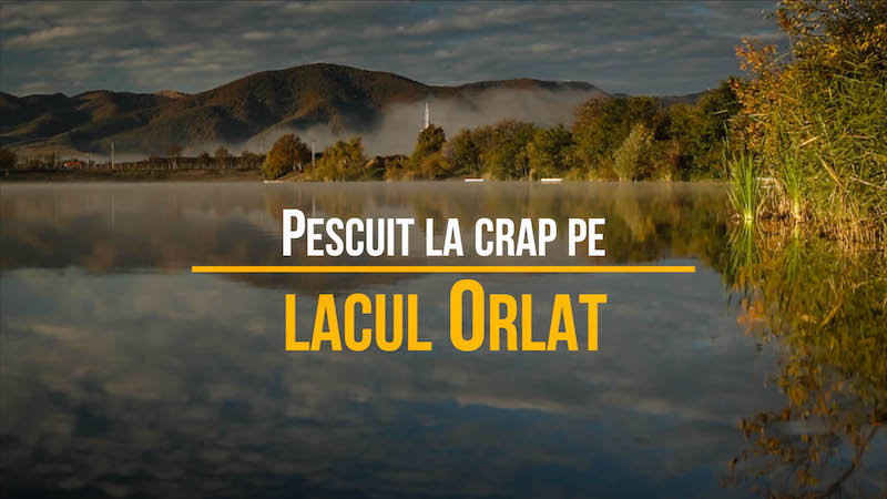 Pescuit la crap la lacul Orlat.jpg