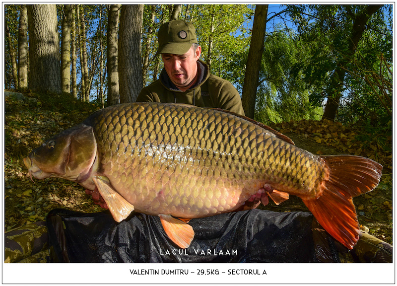 Valentin Dumitru - 29,5kg, Sectorul A.jpg