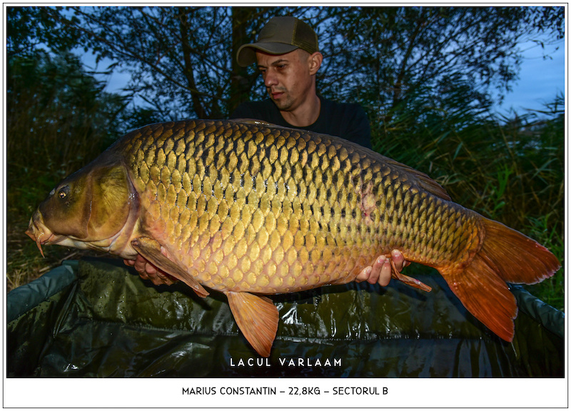 Marius Constantin - 22,8kg, Sectorul B.jpg