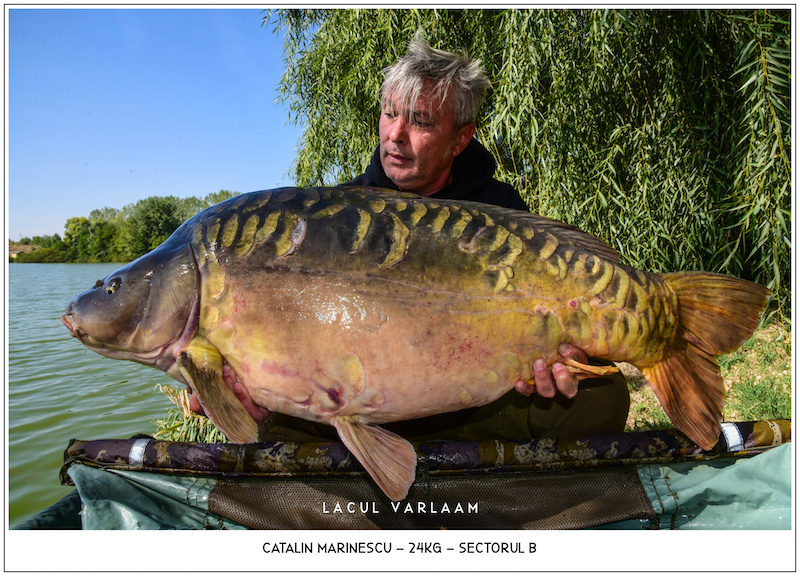 Catalin Marinescu - 24kg, Sectorul B.jpg