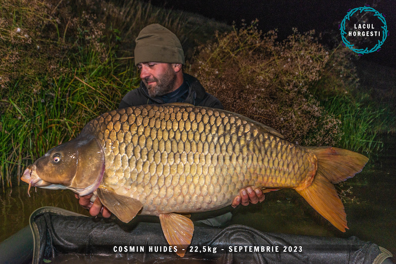 Cosmin Huides - 22,5kg.jpg