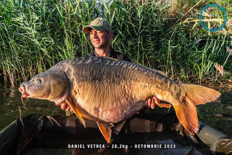 Daniel Vetrea - 28,2kg.jpg