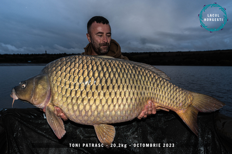 Toni Patrasc - 20,2kg.jpg