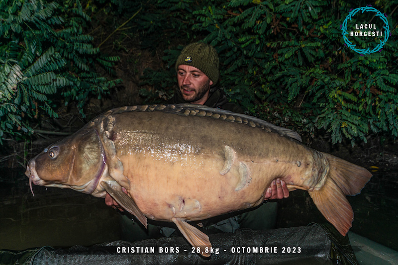 Cristian Bors - 28,8kg.jpg