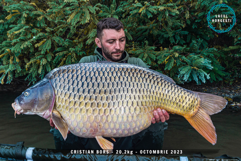 Cristian Bors - 20,2kg.jpg