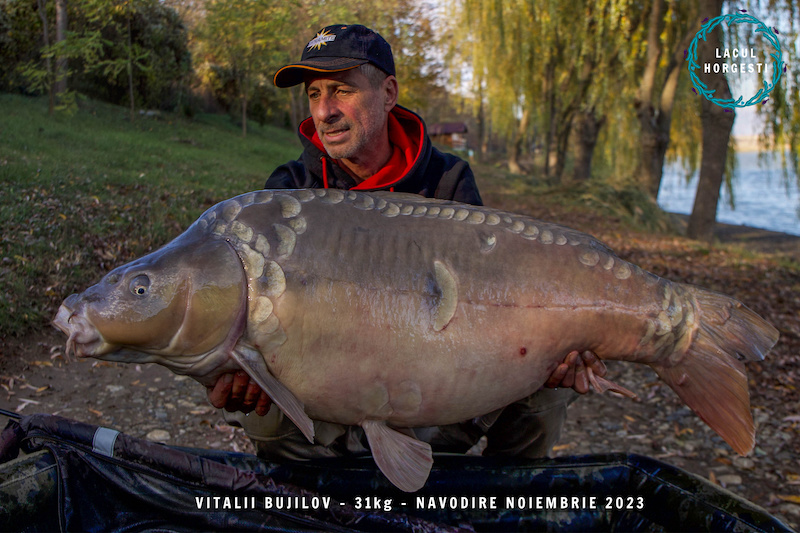 3. Vitalii Bujilov - 31kg.jpg