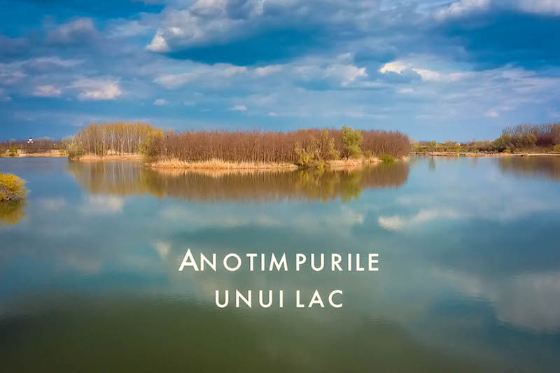 Anotimpurile unui lac.jpg