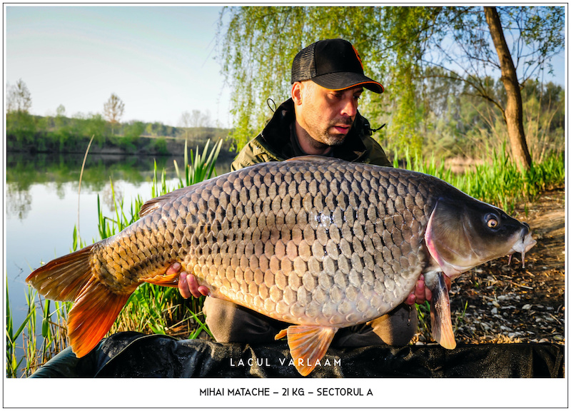 Mihai Matache - 21kg, Sectorul A.jpg