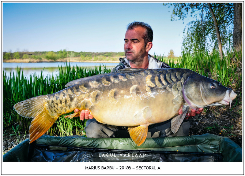 Marius Barbu - 20kg, Sectorul A.jpg