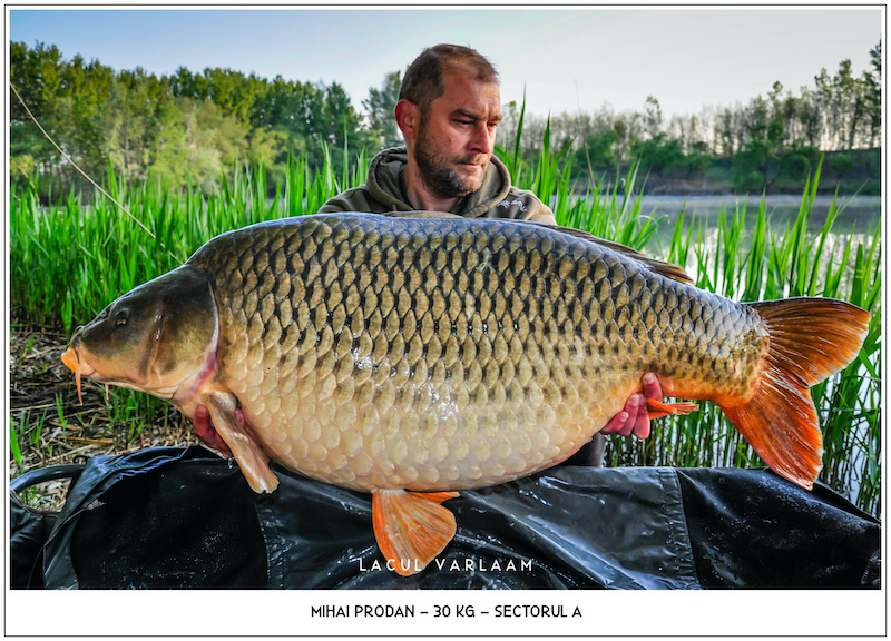 Mihai Prodan - 30kg, Sectorul A.jpg