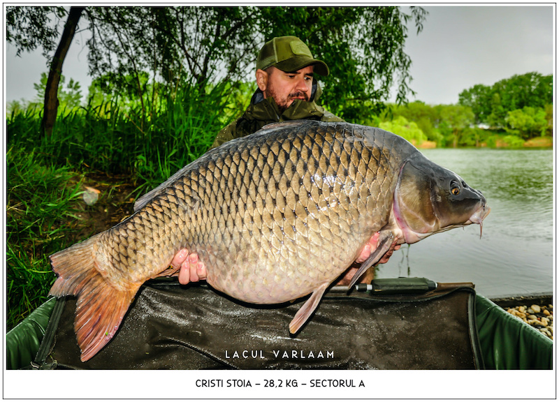 Cristi Stoia - 28,2kg, Sectorul A.jpg