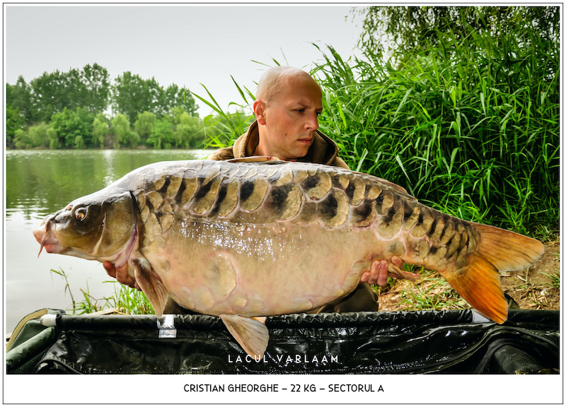 Cristian Gheorghe - 22kg, Sectorul A.jpg