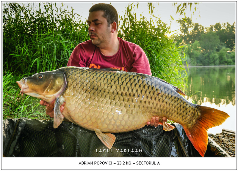 Adrian Popovici - 23,2kg, Sectorul A.jpg
