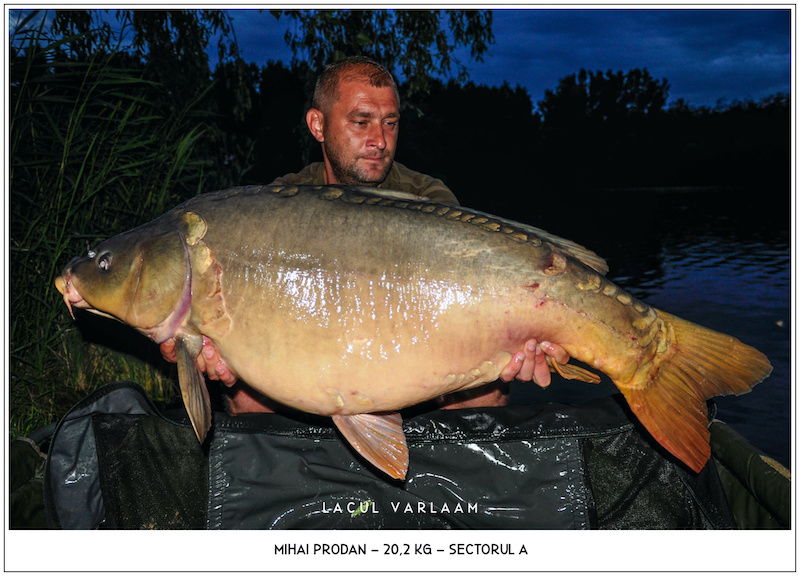 Mihai Prodan - 20,2kg, Sectorul A.jpg