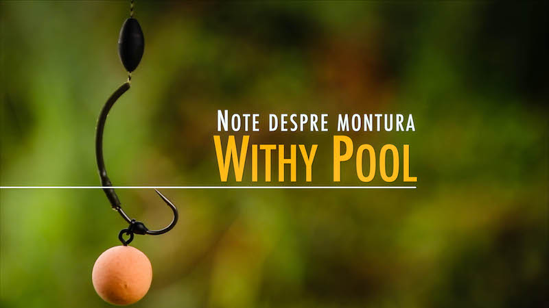 Note despre montura Withy Pool.jpg