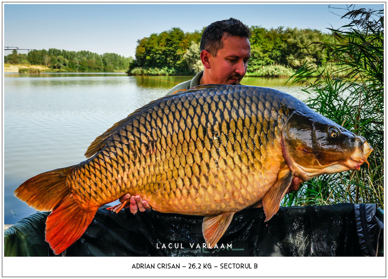 Adrian Crisan - 26,2kg, Sectorul B.jpg