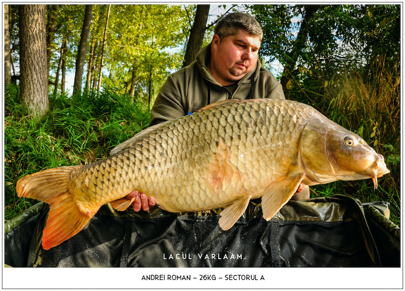 Andrei Roman - 26kg, Sectorul A.jpg