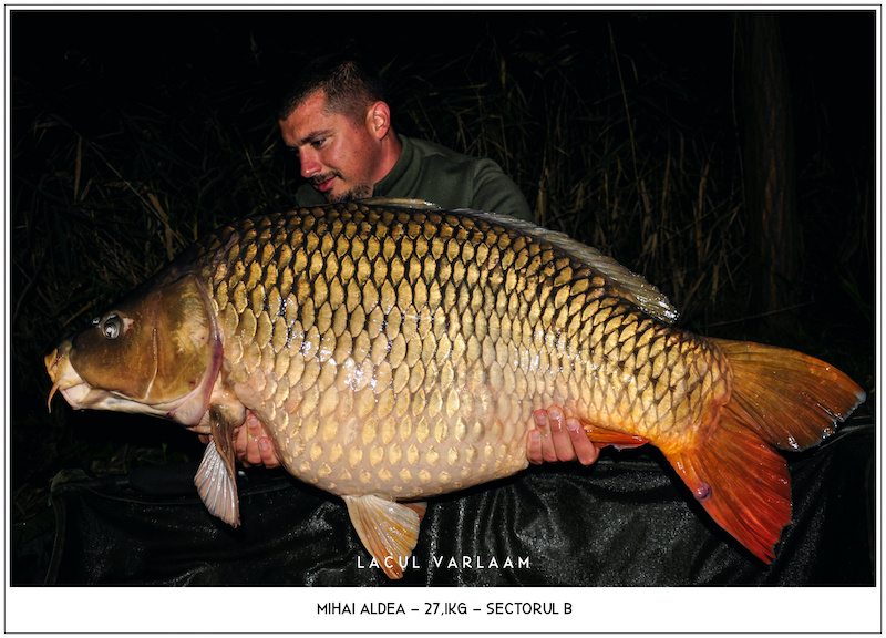 Mihai Aldea - 27,1kg, Sectorul B.jpg