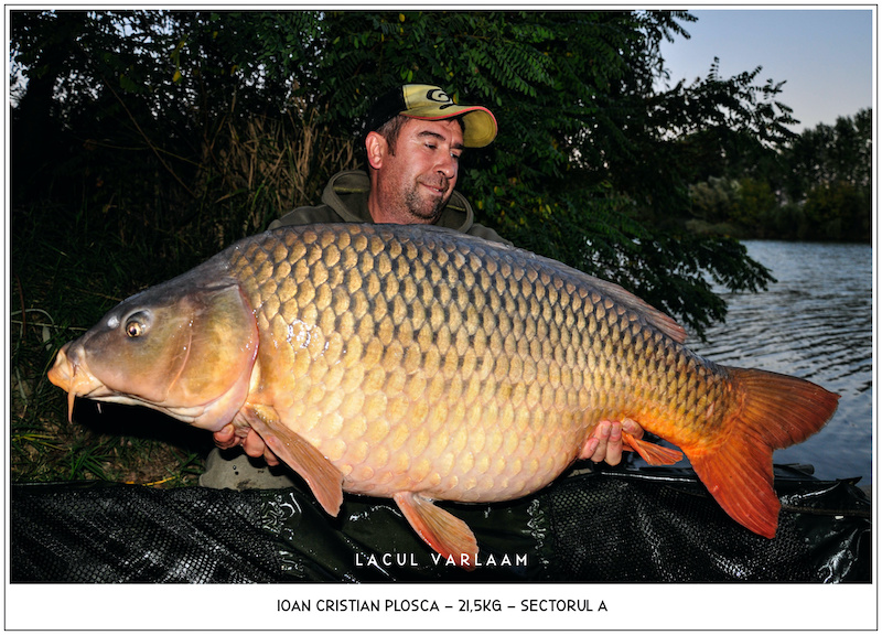 Ioan Cristian Plosca - 21,5kg, Sectorul A.jpg